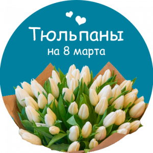 Купить тюльпаны в Сясьстрое